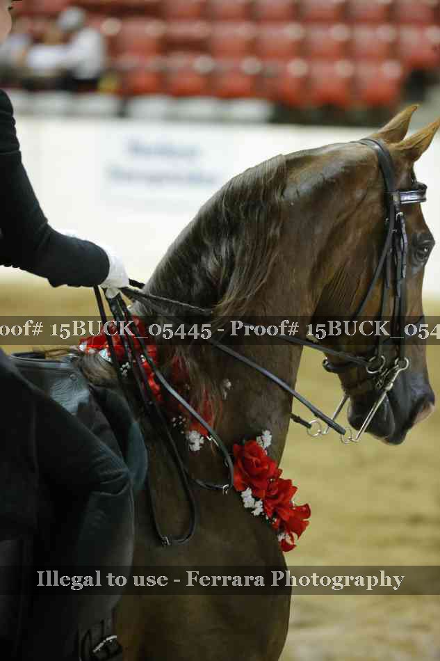 Proof 15BUCK_05445