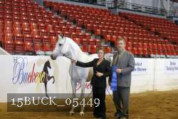 15BUCK_05449 proof