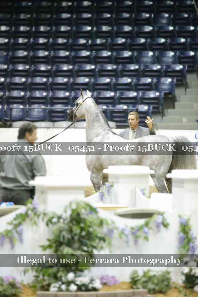 Proof 15BUCK_05451