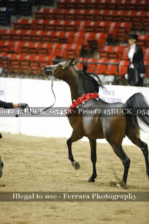 Proof 15BUCK_05458