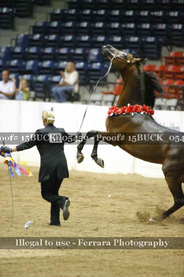 Proof 15BUCK_05459