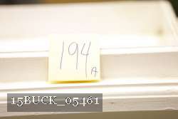 15BUCK_05461 proof