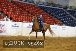 15BUCK_05462 proof