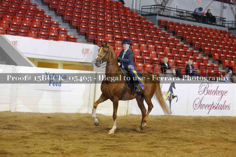 Proof 15BUCK_05463