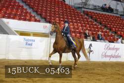 15BUCK_05463 proof