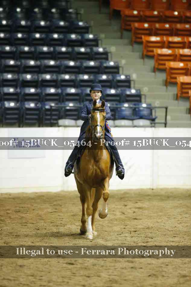 Proof 15BUCK_05464