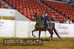 15BUCK_05472 proof
