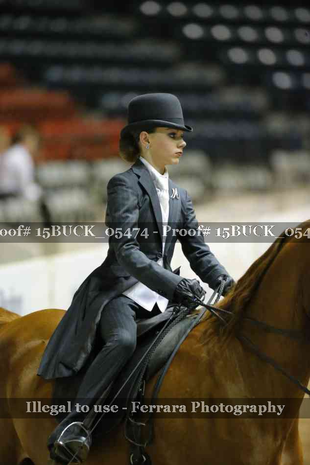 Proof 15BUCK_05474