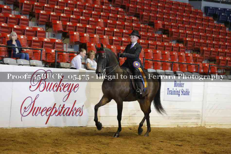 Proof 15BUCK_05475