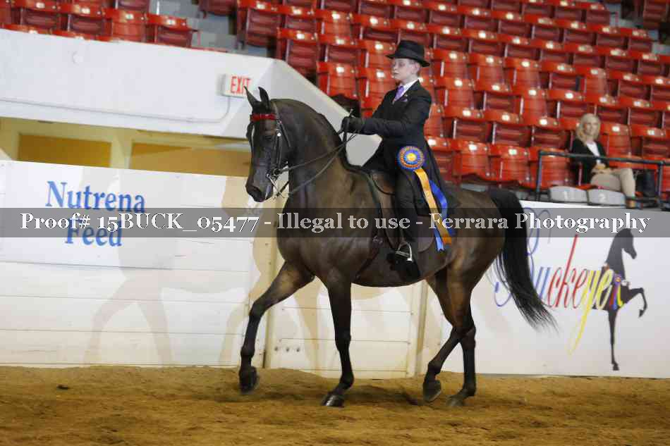 Proof 15BUCK_05477