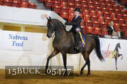 15BUCK_05477 proof