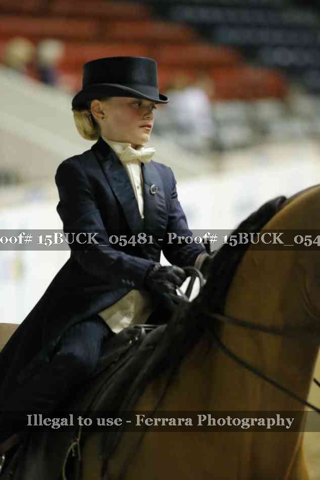Proof 15BUCK_05481