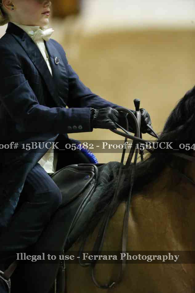 Proof 15BUCK_05482