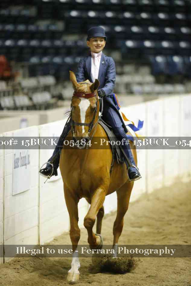 Proof 15BUCK_05484