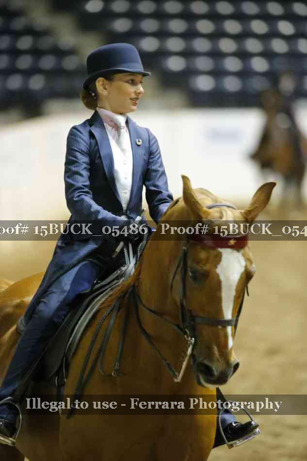 Proof 15BUCK_05486