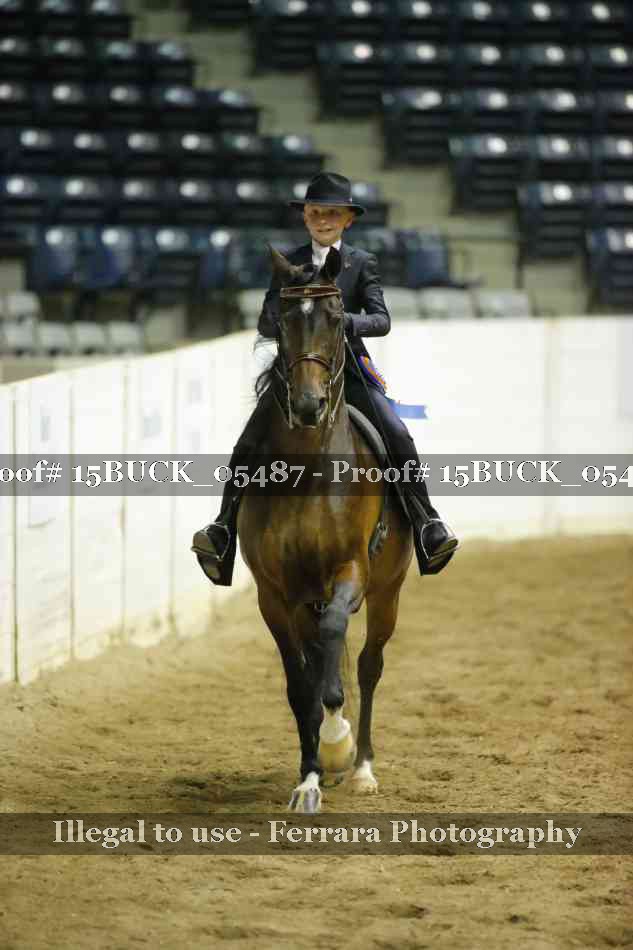 Proof 15BUCK_05487