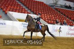 15BUCK_05495 proof
