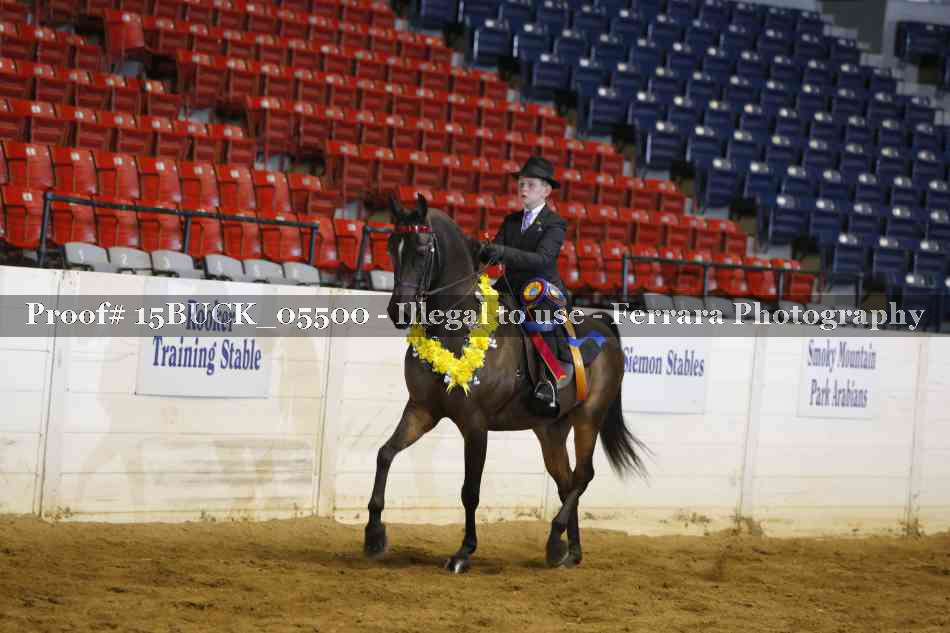 Proof 15BUCK_05500