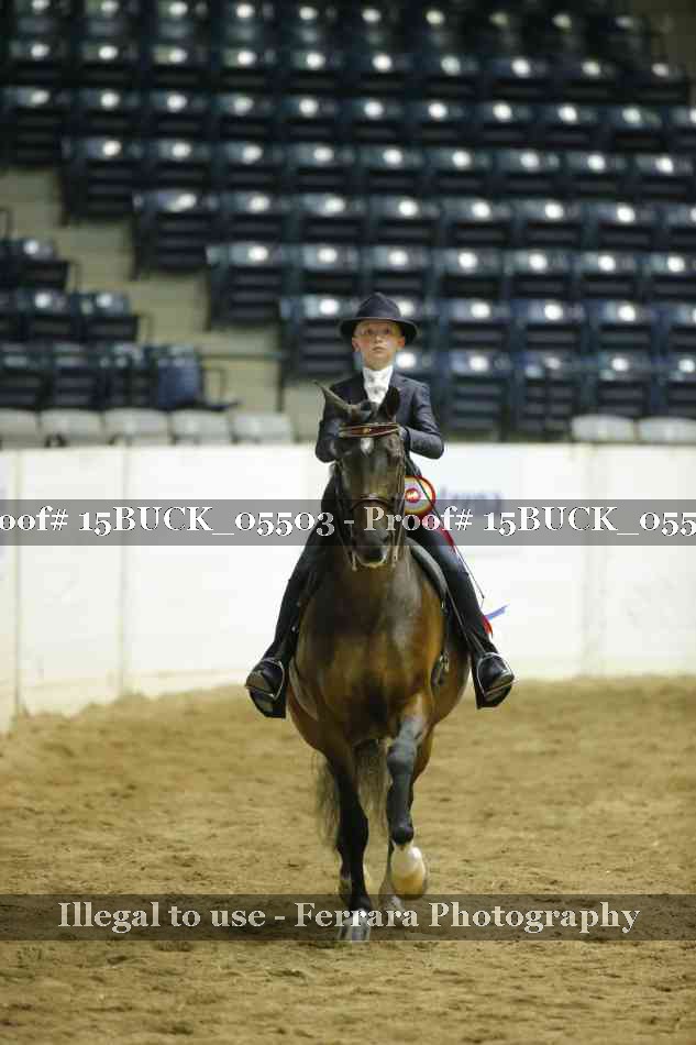 Proof 15BUCK_05503