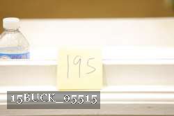 15BUCK_05515 proof