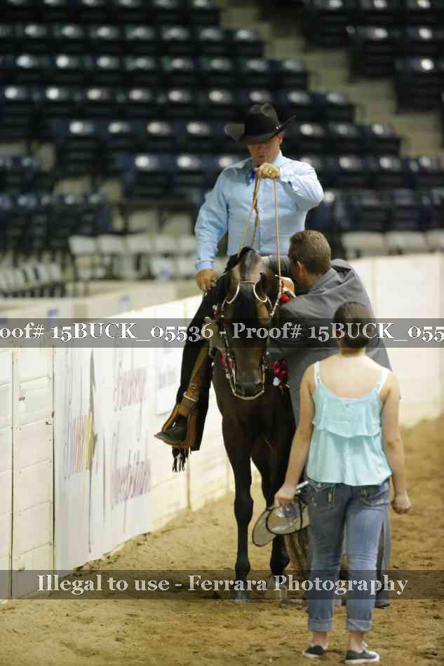 Proof 15BUCK_05536
