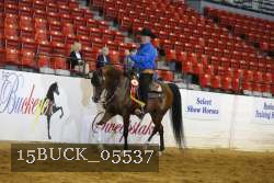 15BUCK_05537 proof