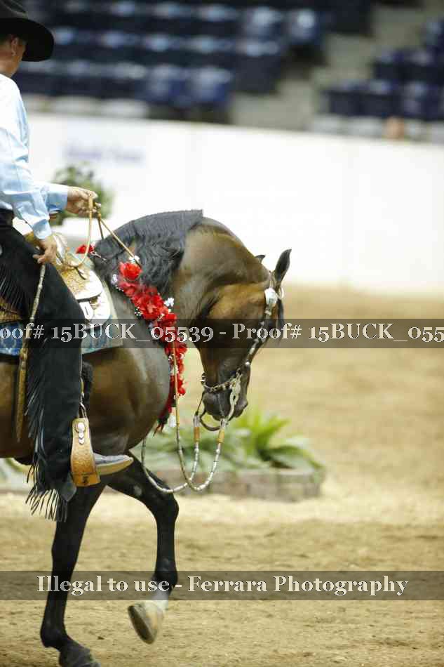 Proof 15BUCK_05539