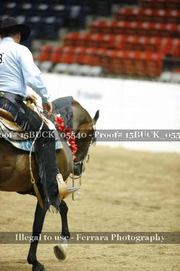 Proof 15BUCK_05540