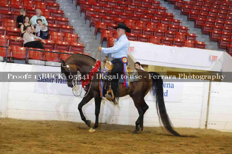 Proof 15BUCK_05541