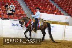 15BUCK_05541 proof