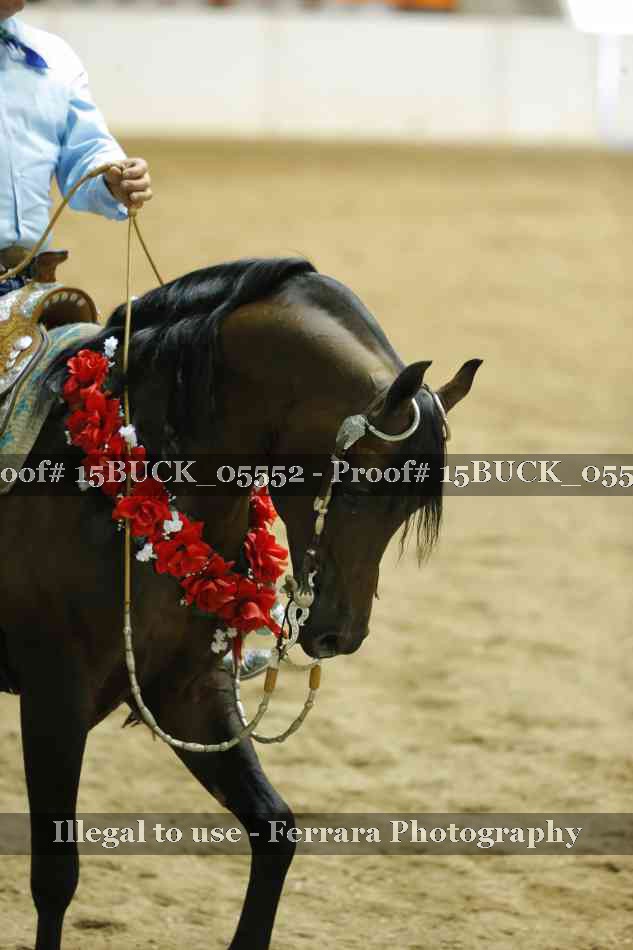 Proof 15BUCK_05552
