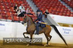 15BUCK_05560 proof