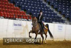 15BUCK_05561 proof
