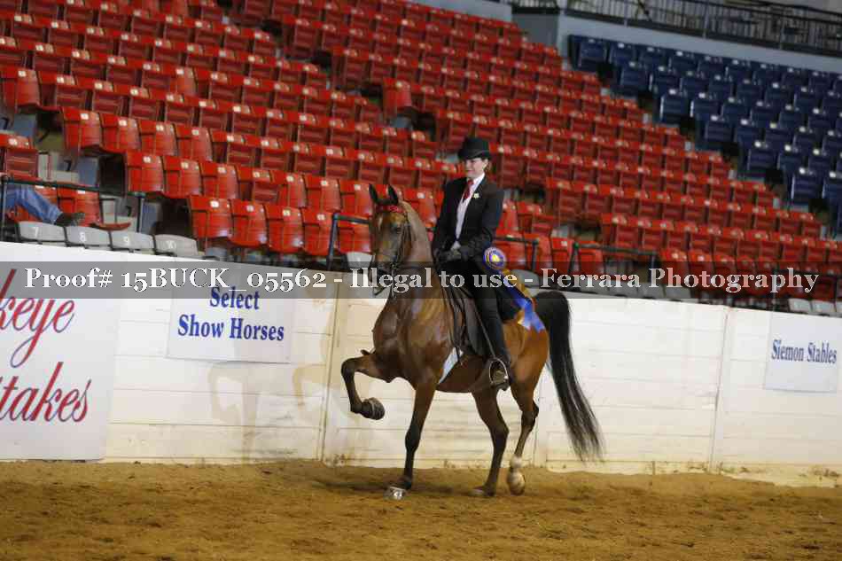 Proof 15BUCK_05562