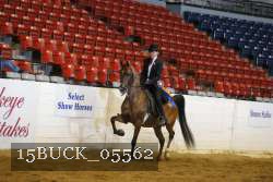 15BUCK_05562 proof