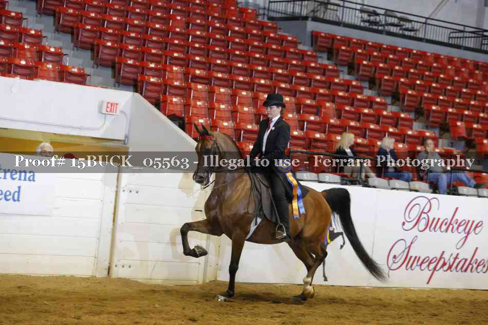 Proof 15BUCK_05563