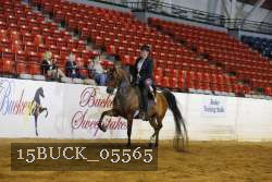 15BUCK_05565 proof