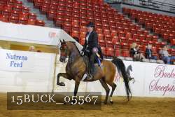 15BUCK_05567 proof