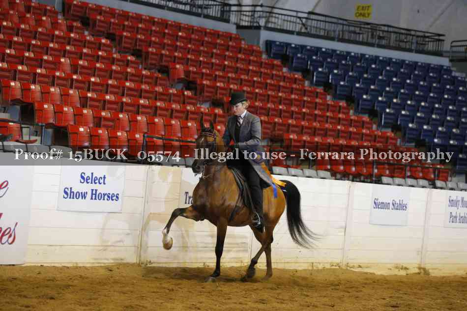 Proof 15BUCK_05574