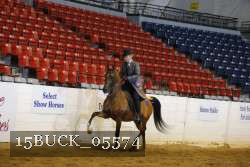 15BUCK_05574 proof