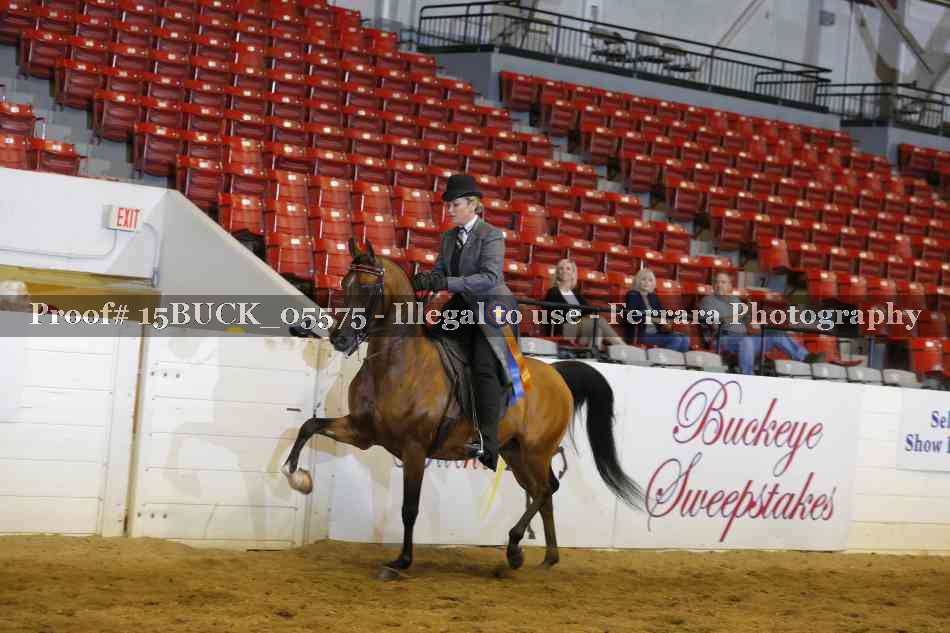 Proof 15BUCK_05575