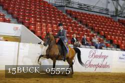 15BUCK_05575 proof