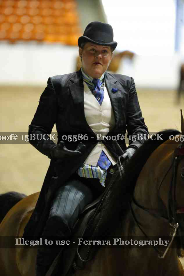 Proof 15BUCK_05586