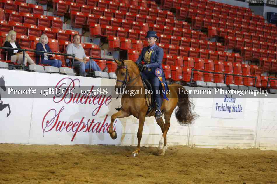 Proof 15BUCK_05588