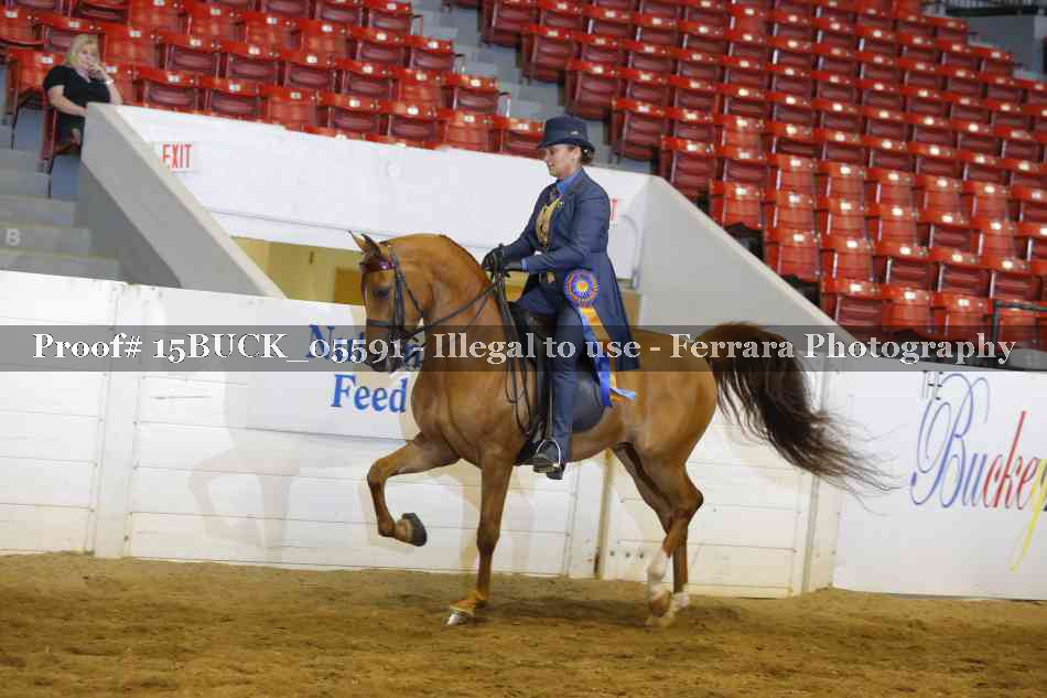 Proof 15BUCK_05591