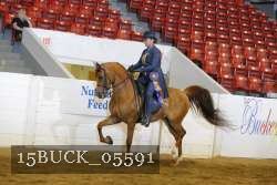 15BUCK_05591 proof
