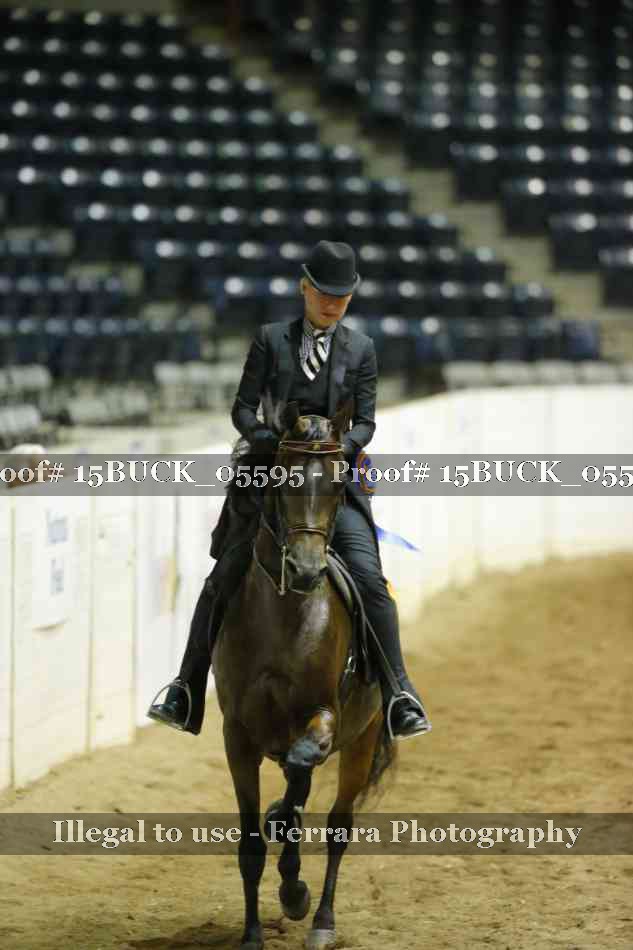 Proof 15BUCK_05595