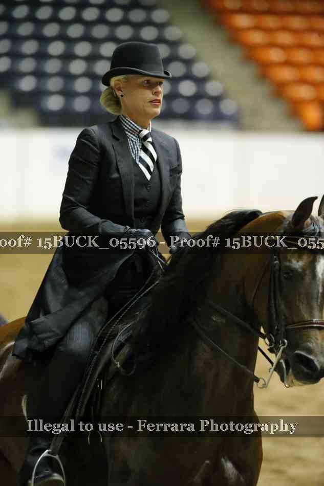 Proof 15BUCK_05596