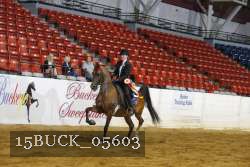 15BUCK_05603 proof