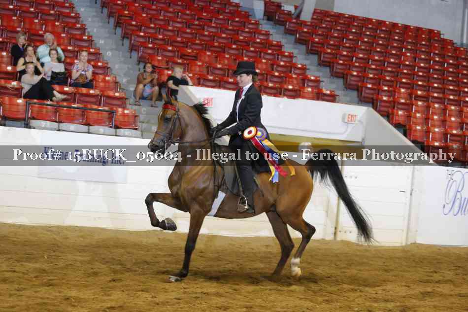 Proof 15BUCK_05604